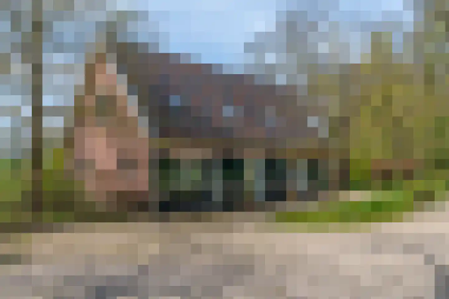 Rijksstraatweg 213 Loenersloot thumbnail 9