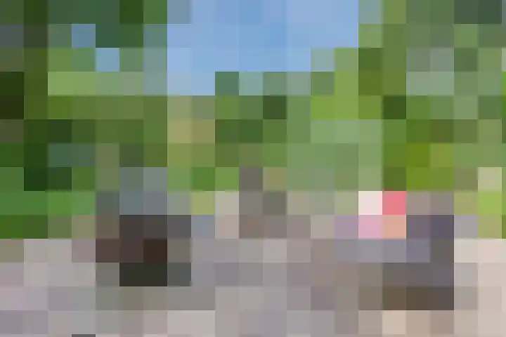 Rijksstraatweg 225 Wassenaar thumbnail 52