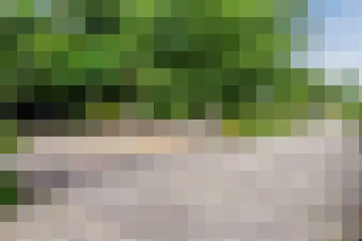 Rijksstraatweg 225 Wassenaar thumbnail 54