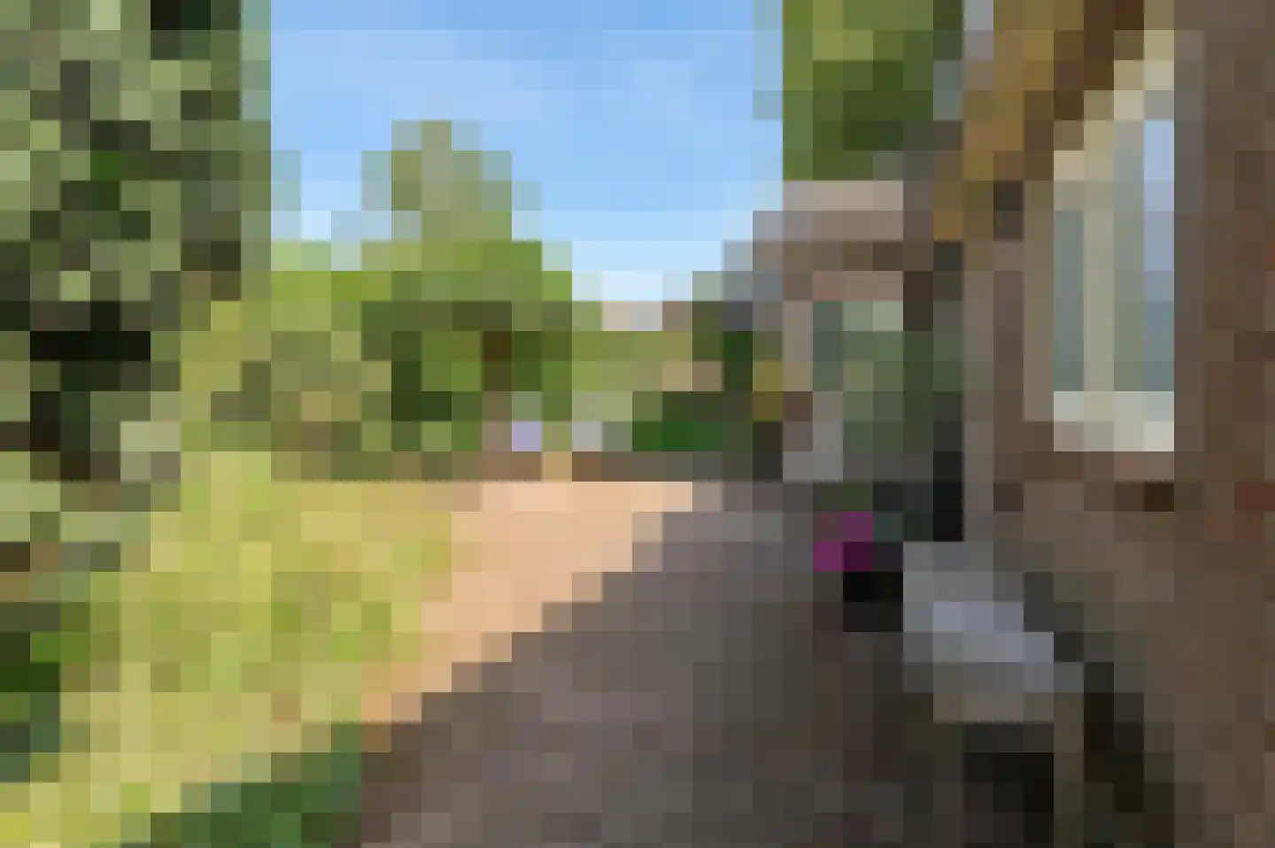 Rijksstraatweg 23 Geldermalsen thumbnail 42