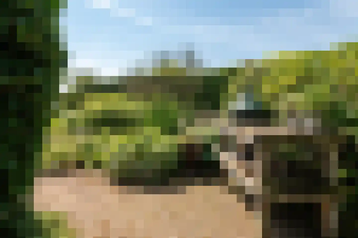 Rijksstraatweg 23 Geldermalsen thumbnail 46
