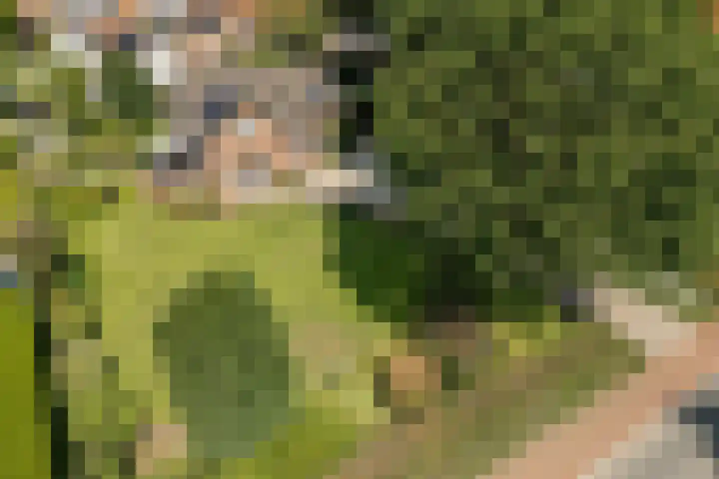 Rijksstraatweg 23 Geldermalsen thumbnail 69