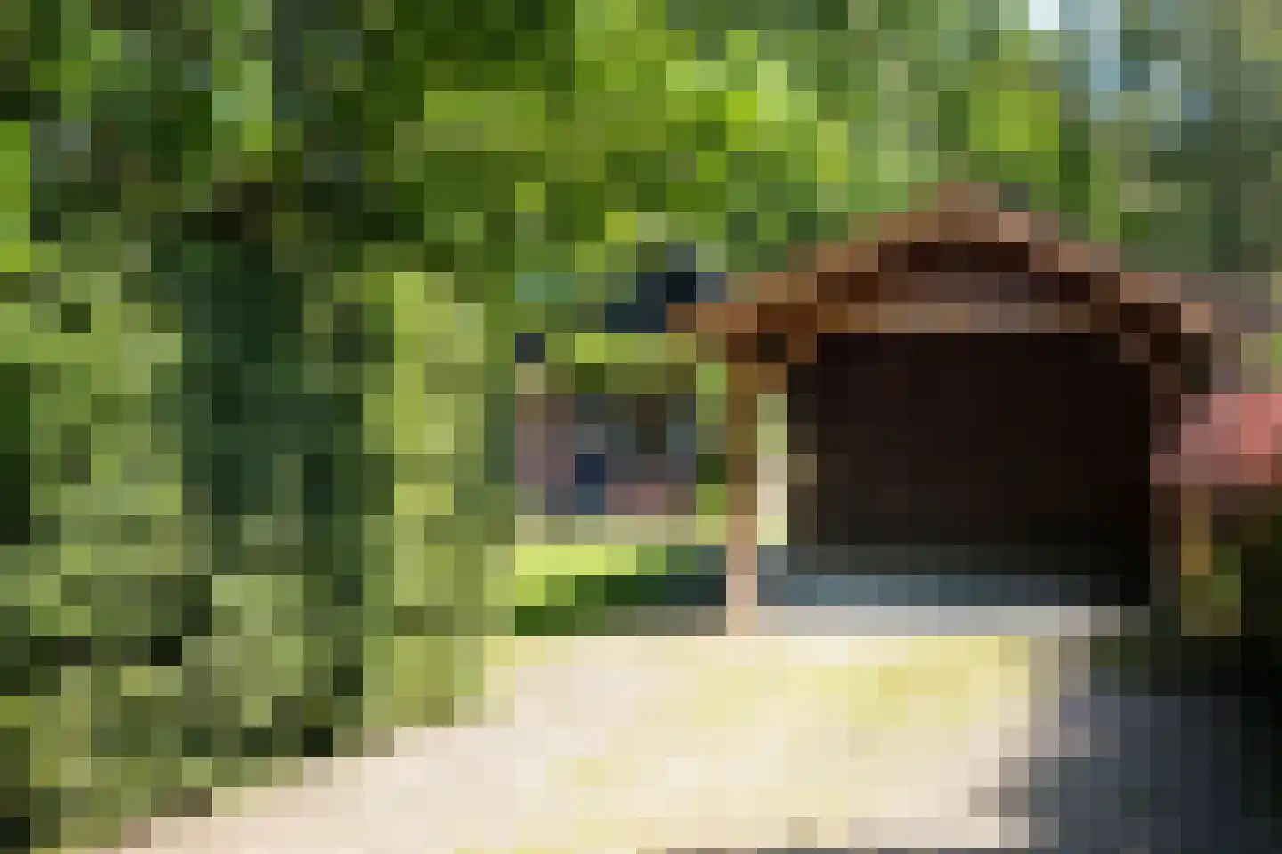 Rijksstraatweg 234 r 1 Leersum thumbnail 16