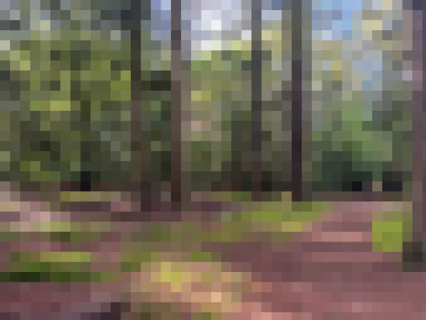 Rijksstraatweg 234 r 1 Leersum thumbnail 20