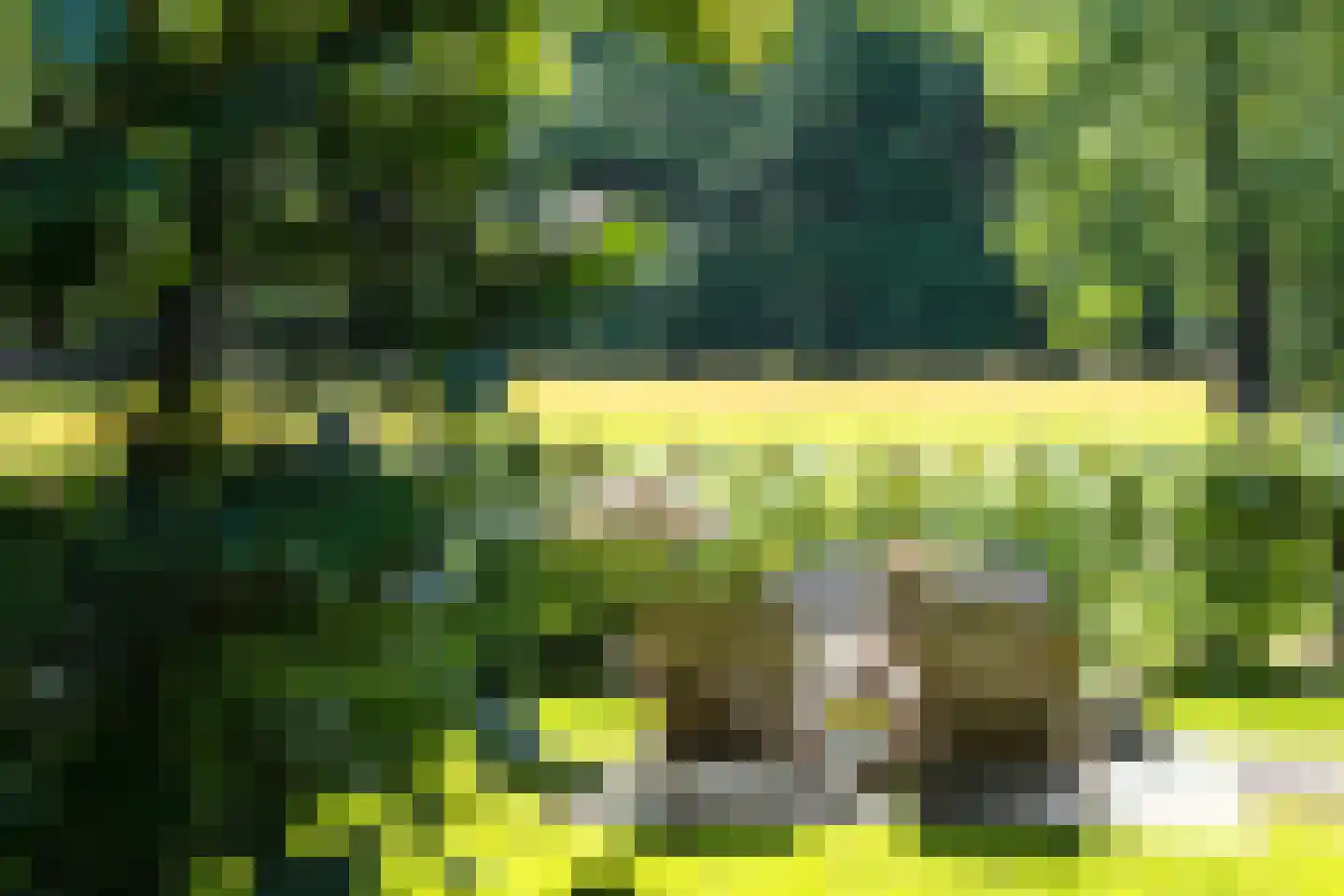 Rijksstraatweg 234 r 1 Leersum thumbnail 5