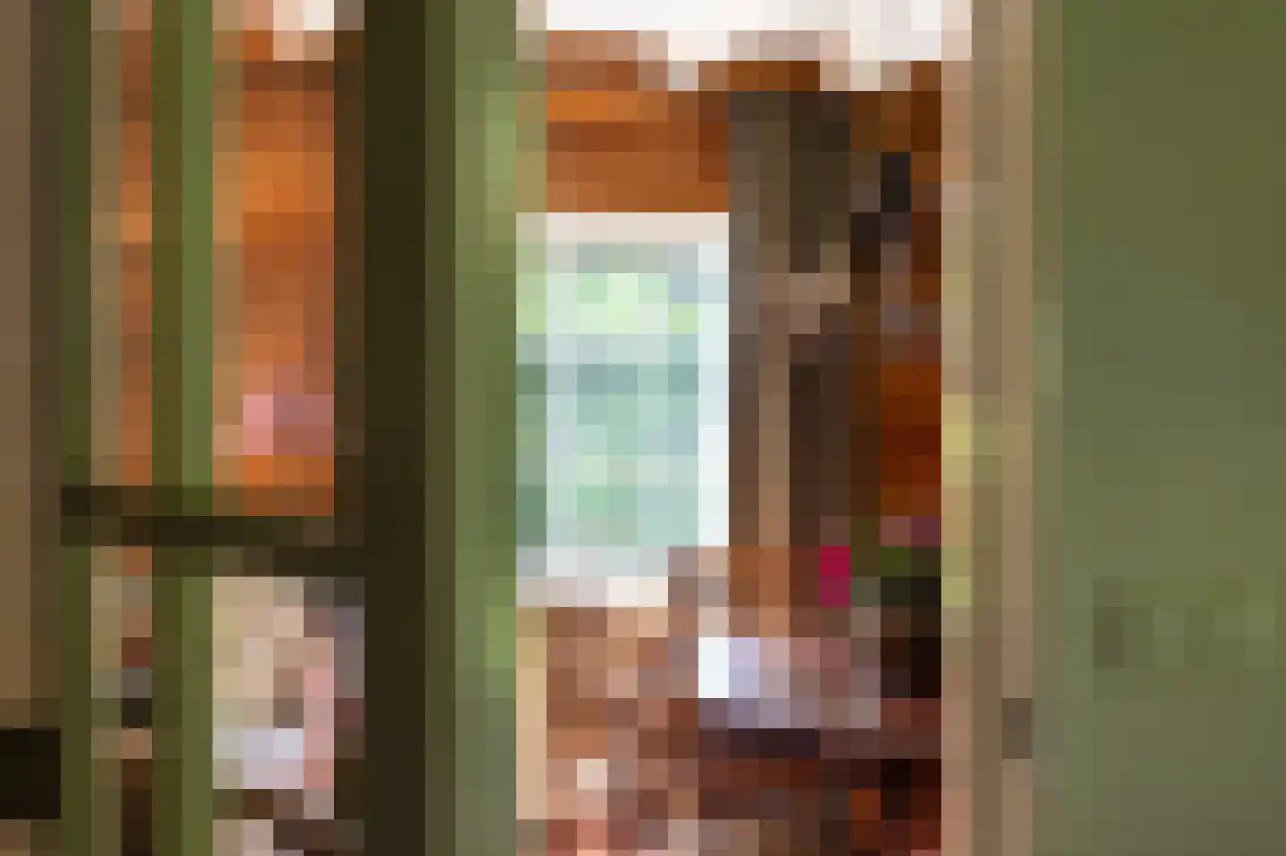 Rijksstraatweg 234 r 1 Leersum thumbnail 6