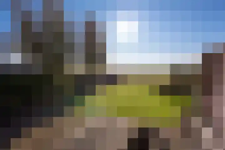 Rijksstraatweg 248 Elst Ut thumbnail 42