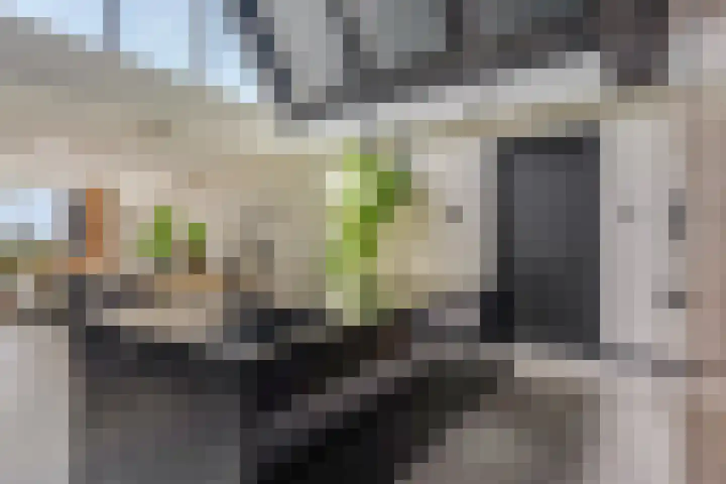 Rijksstraatweg 252 Elst Ut thumbnail 12