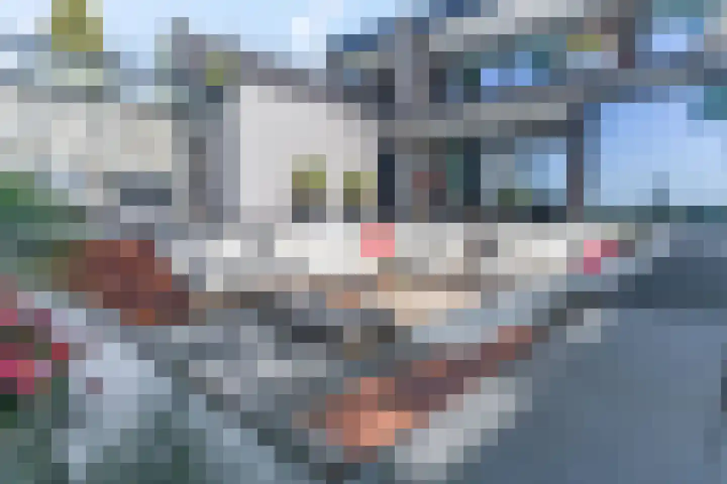 Rijksstraatweg 252 Elst Ut thumbnail 50