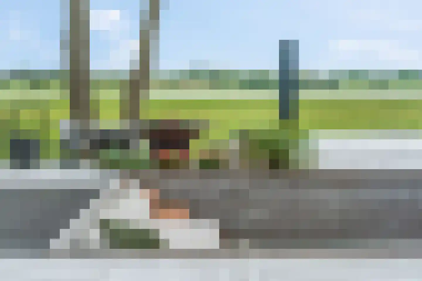 Rijksstraatweg 252 Elst Ut thumbnail 51