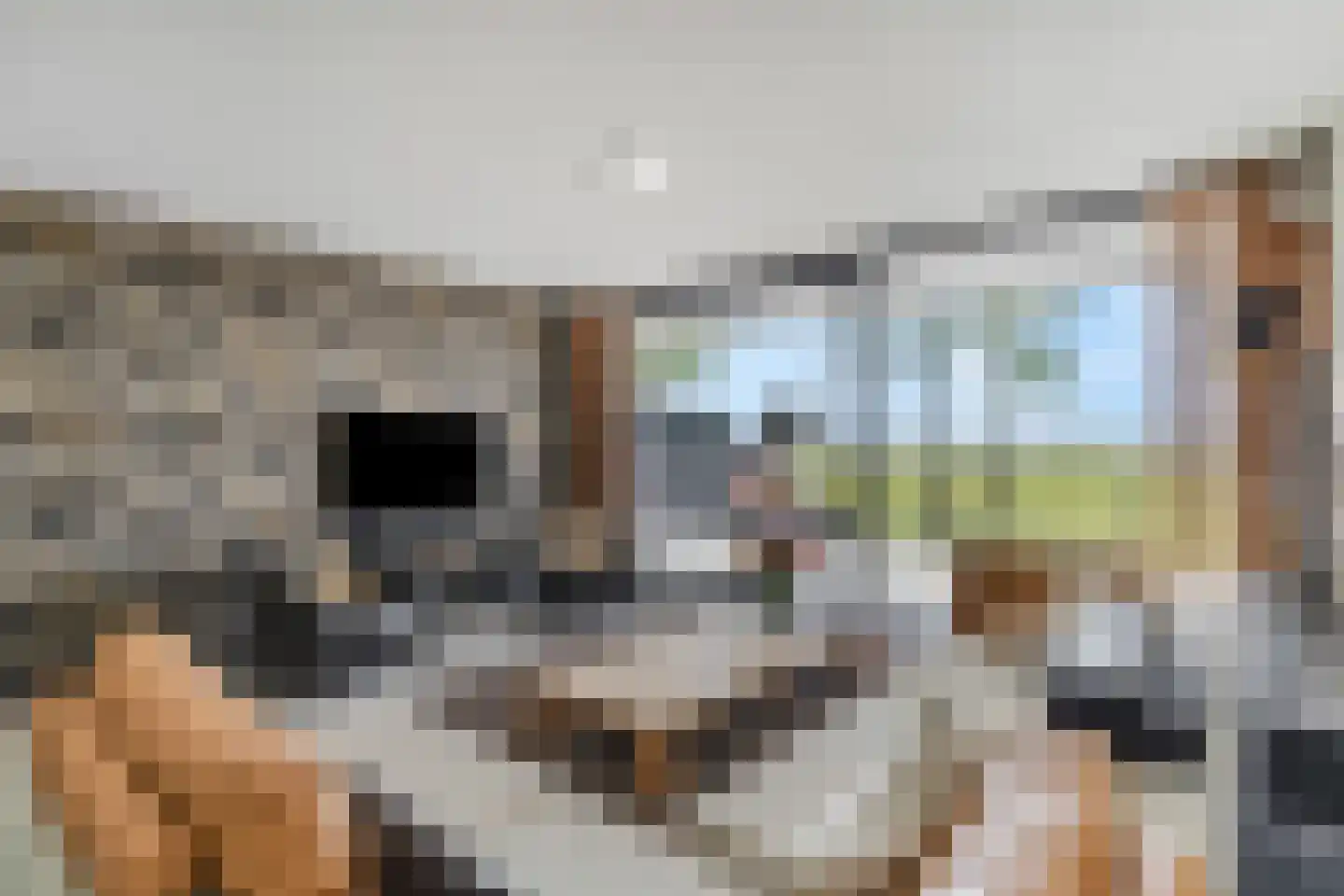 Rijksstraatweg 252 Elst Ut thumbnail 7