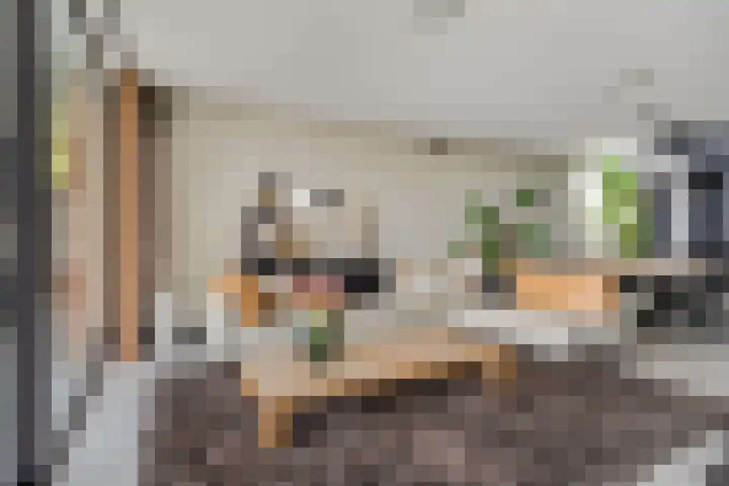 Rijksstraatweg 252 Elst Ut thumbnail 8