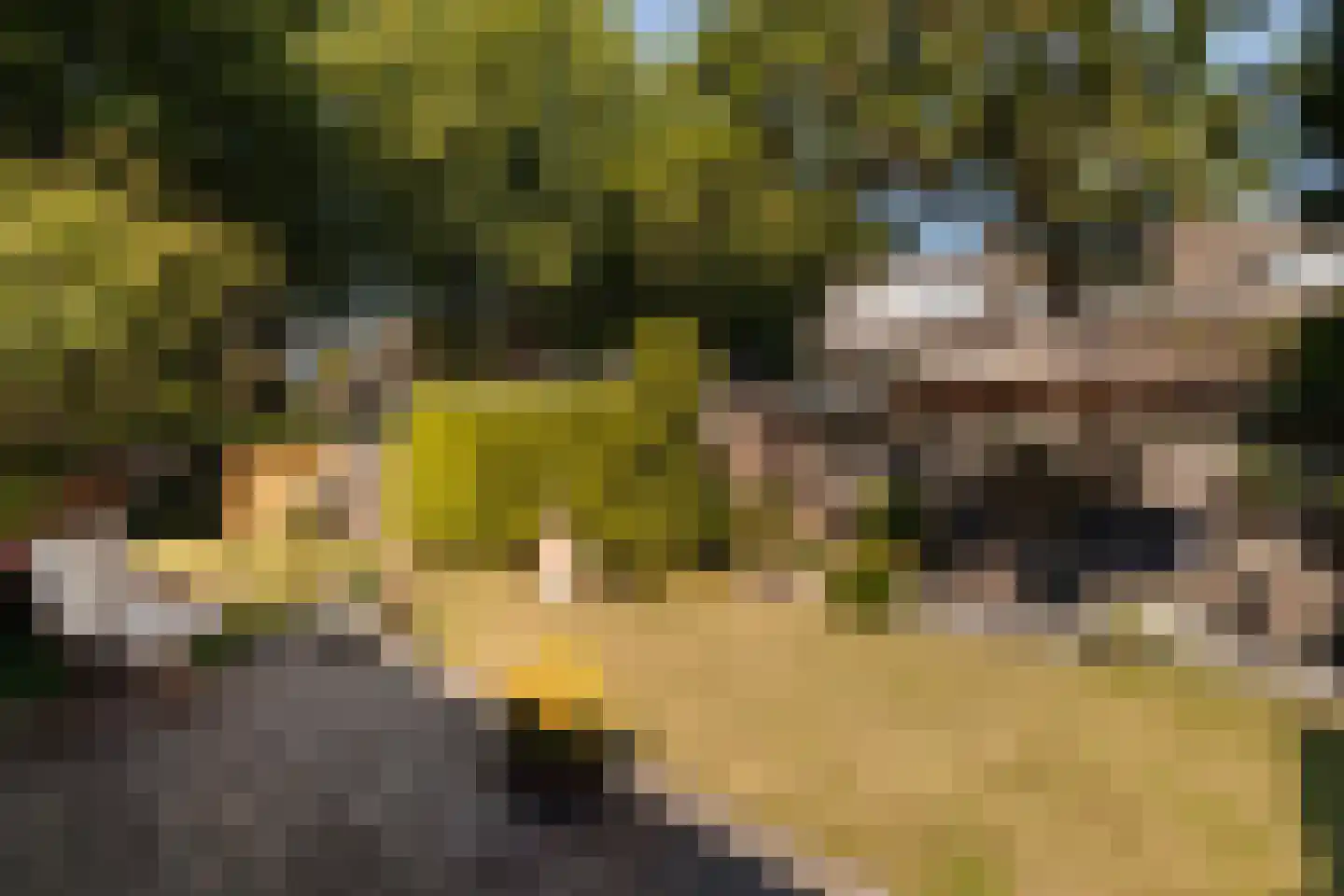 Rijksstraatweg 262 Wassenaar thumbnail 18