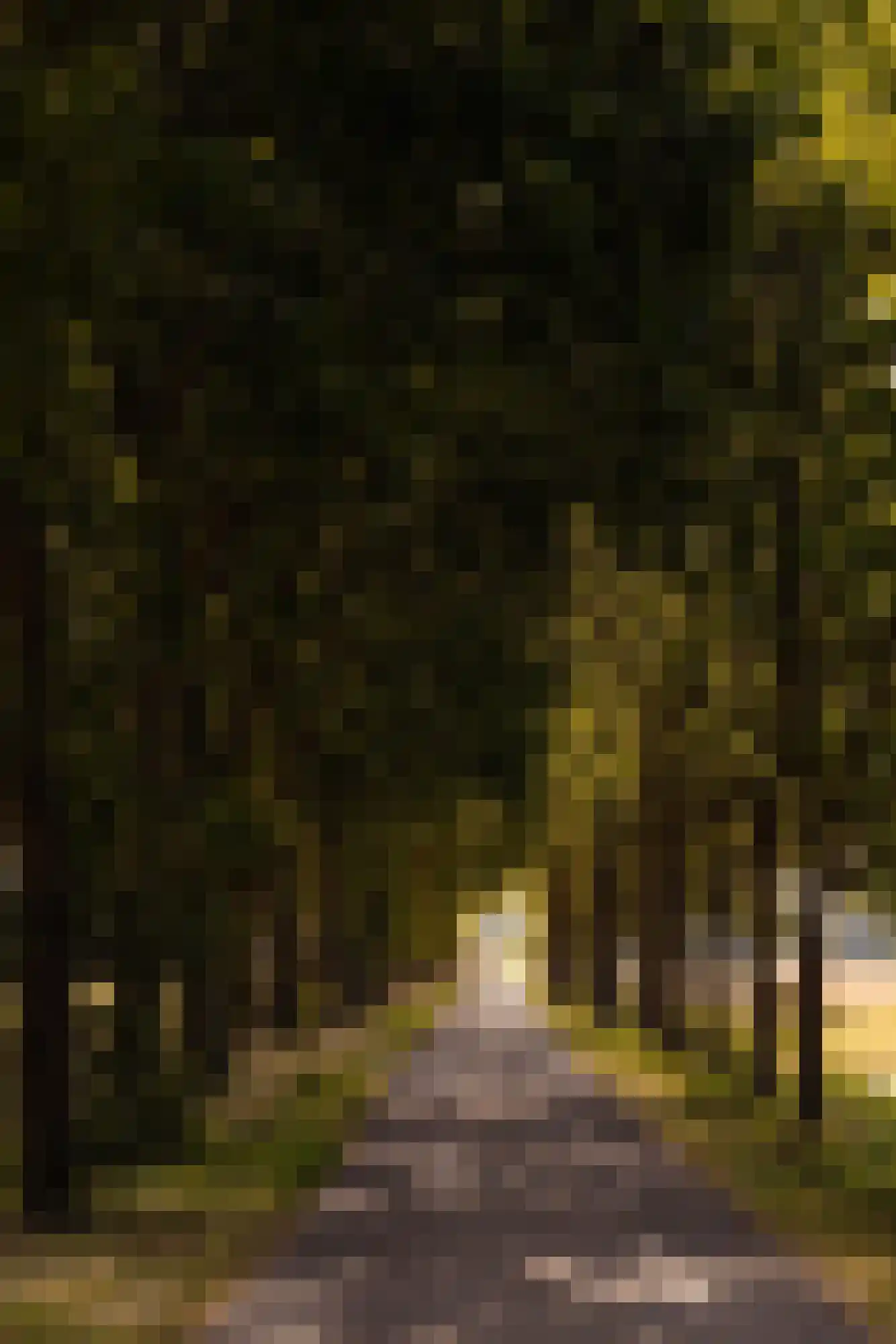 Rijksstraatweg 262 Wassenaar thumbnail 48