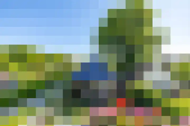 Rijksstraatweg 28 Glimmen thumbnail 10