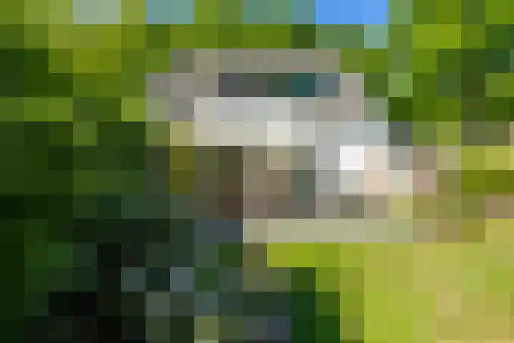 Rijksstraatweg 28 Glimmen thumbnail 4