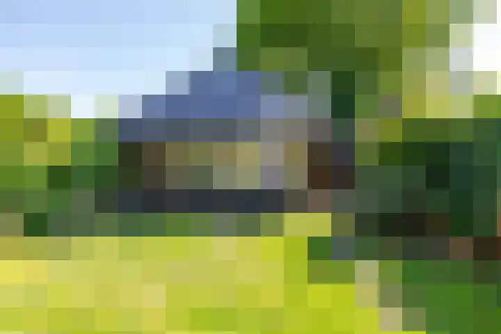 Rijksstraatweg 28 Glimmen thumbnail 6