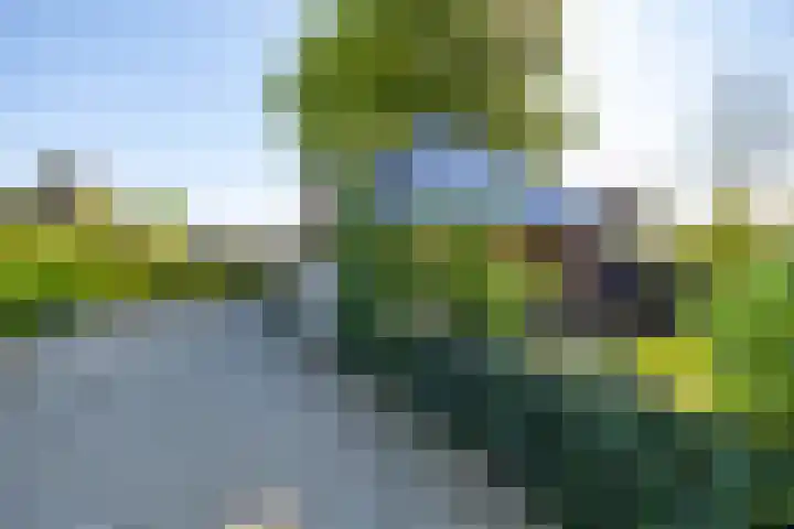 Rijksstraatweg 28 Glimmen thumbnail 9