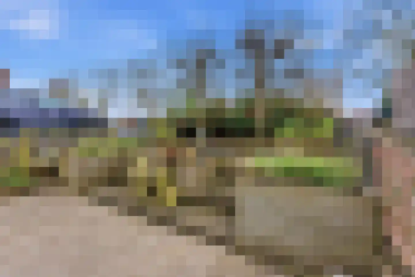 Rijksstraatweg 290 Ridderkerk thumbnail 48