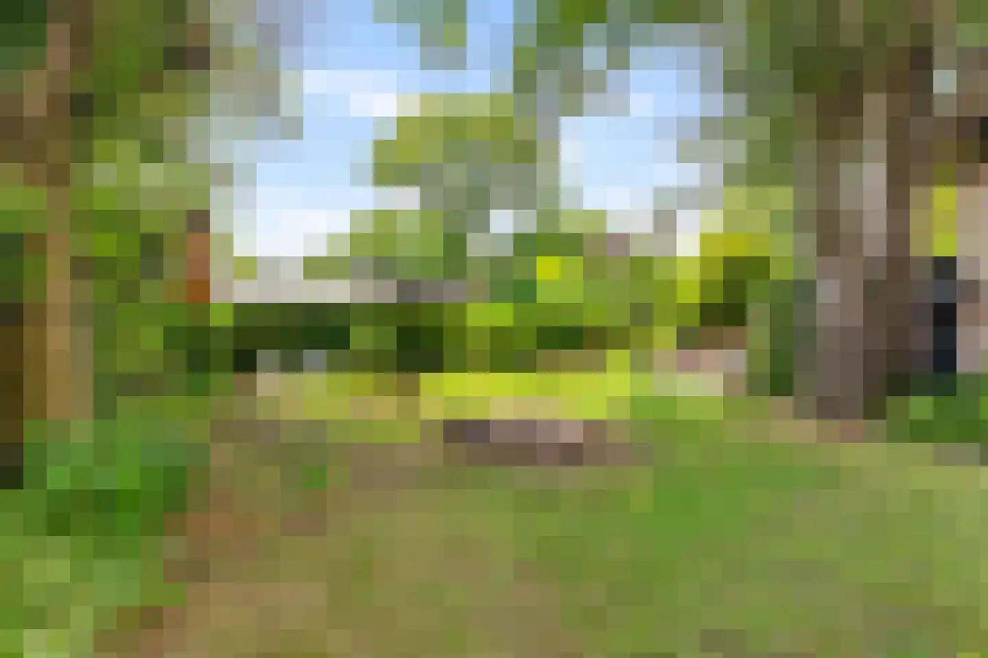 Rijksstraatweg 301 Haren Gn thumbnail 41