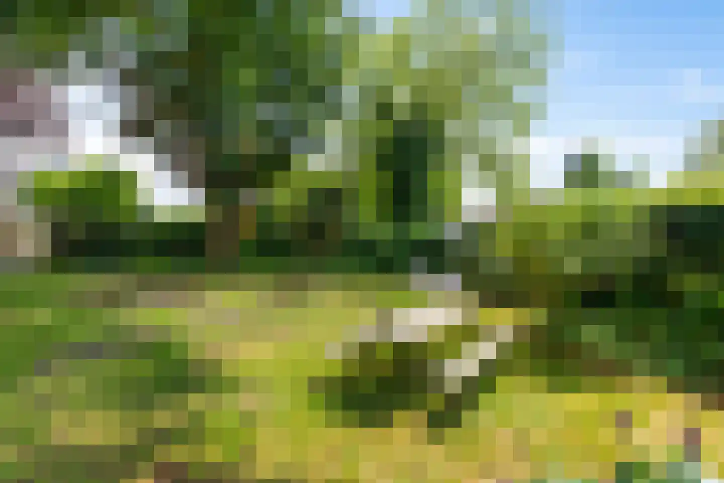 Rijksstraatweg 301 Haren Gn thumbnail 42