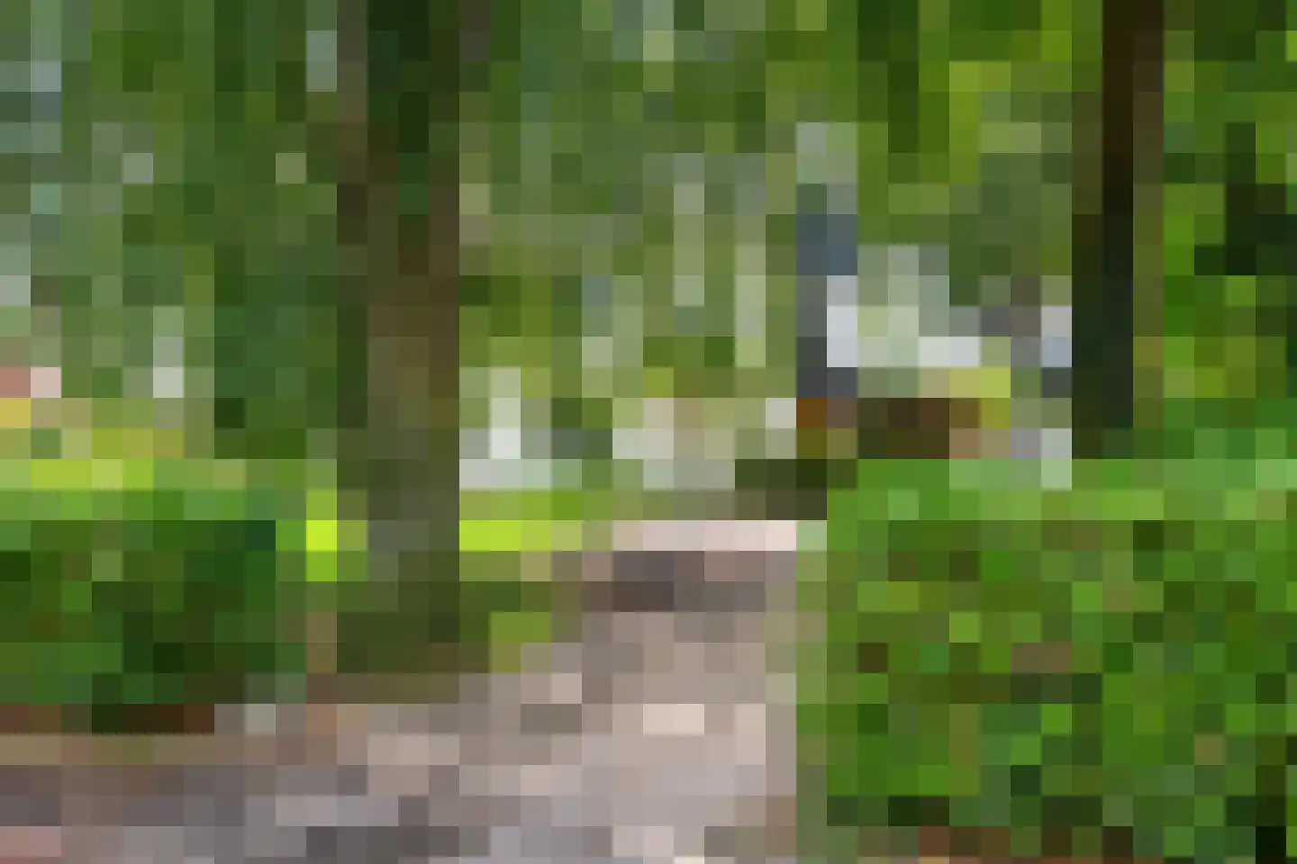 Rijksstraatweg 301 Haren Gn thumbnail 48