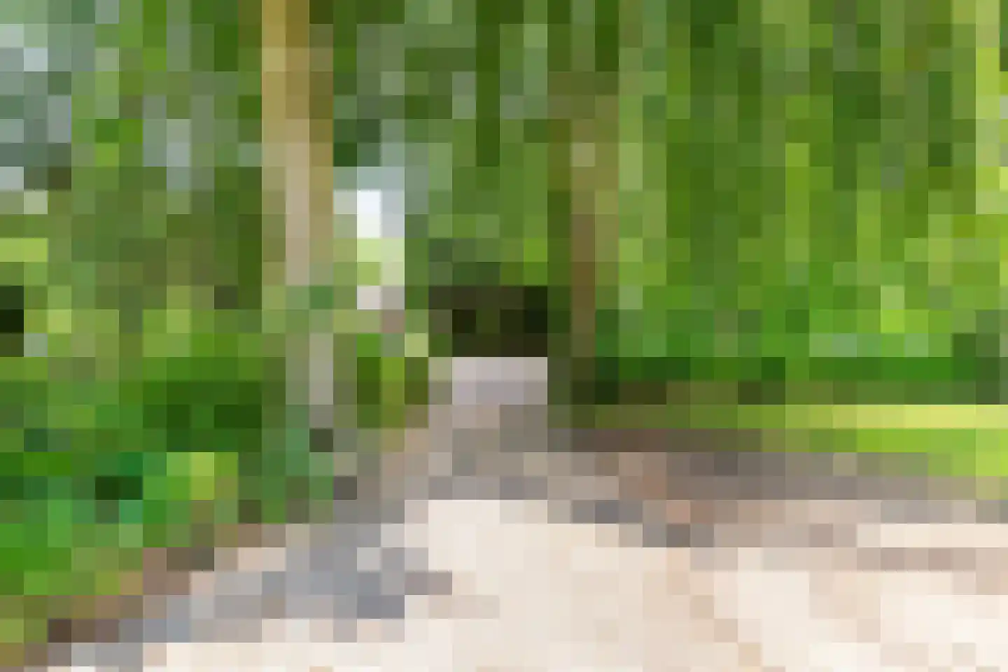 Rijksstraatweg 301 Haren Gn thumbnail 49