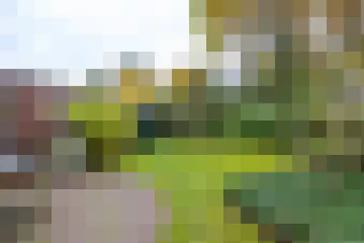 Rijksstraatweg 314 a Haren Gn thumbnail 51