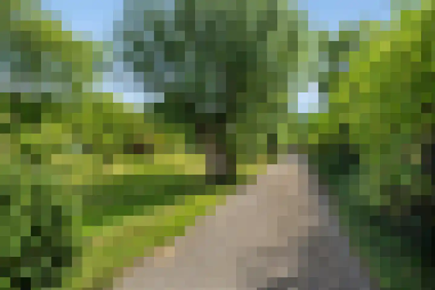 Rijksstraatweg 314 Hellevoetsluis thumbnail 7
