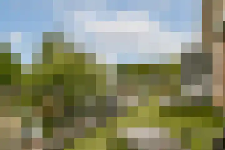 Rijksstraatweg 32 Nieuwersluis thumbnail 21