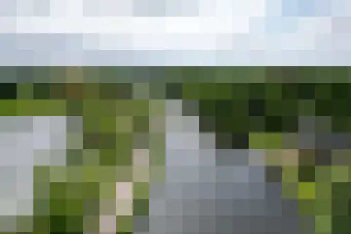 Rijksstraatweg 32 Nieuwersluis thumbnail 38