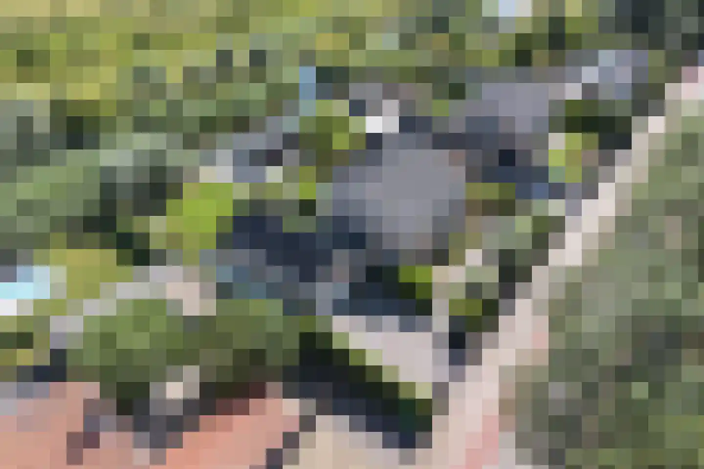 Rijksstraatweg 332 Ridderkerk thumbnail 4