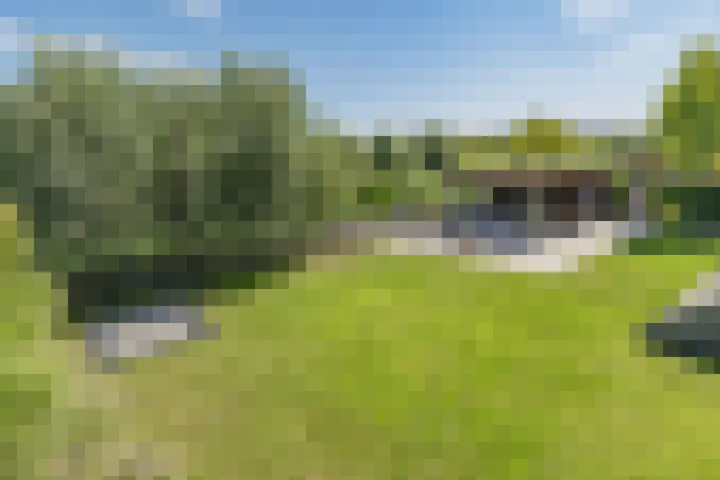Rijksstraatweg 332 Ridderkerk thumbnail 45