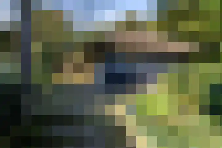 Rijksstraatweg 333 Haren Gn thumbnail 48