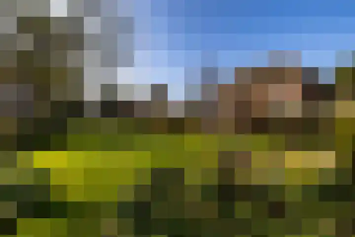 Rijksstraatweg 333 Haren Gn thumbnail 50