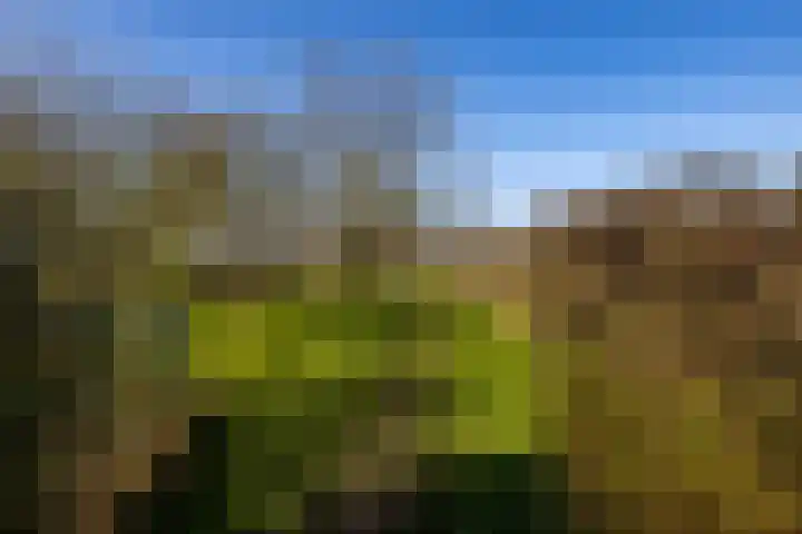 Rijksstraatweg 333 Haren Gn thumbnail 6