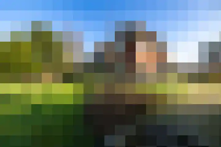 Rijksstraatweg 333 Haren Gn thumbnail 7