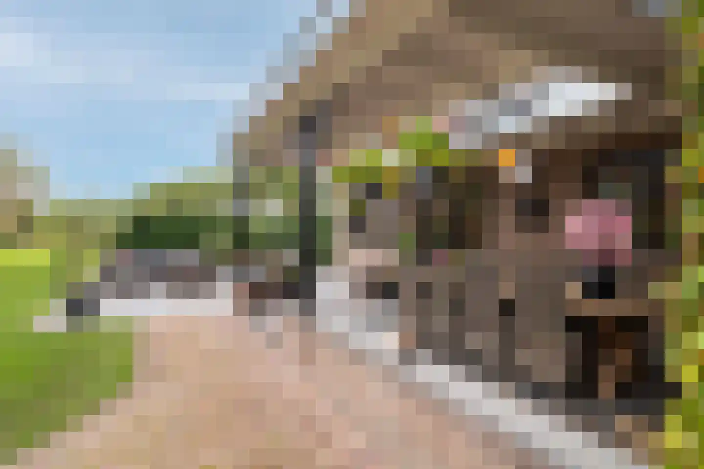Rijksstraatweg 337 Ridderkerk thumbnail 19