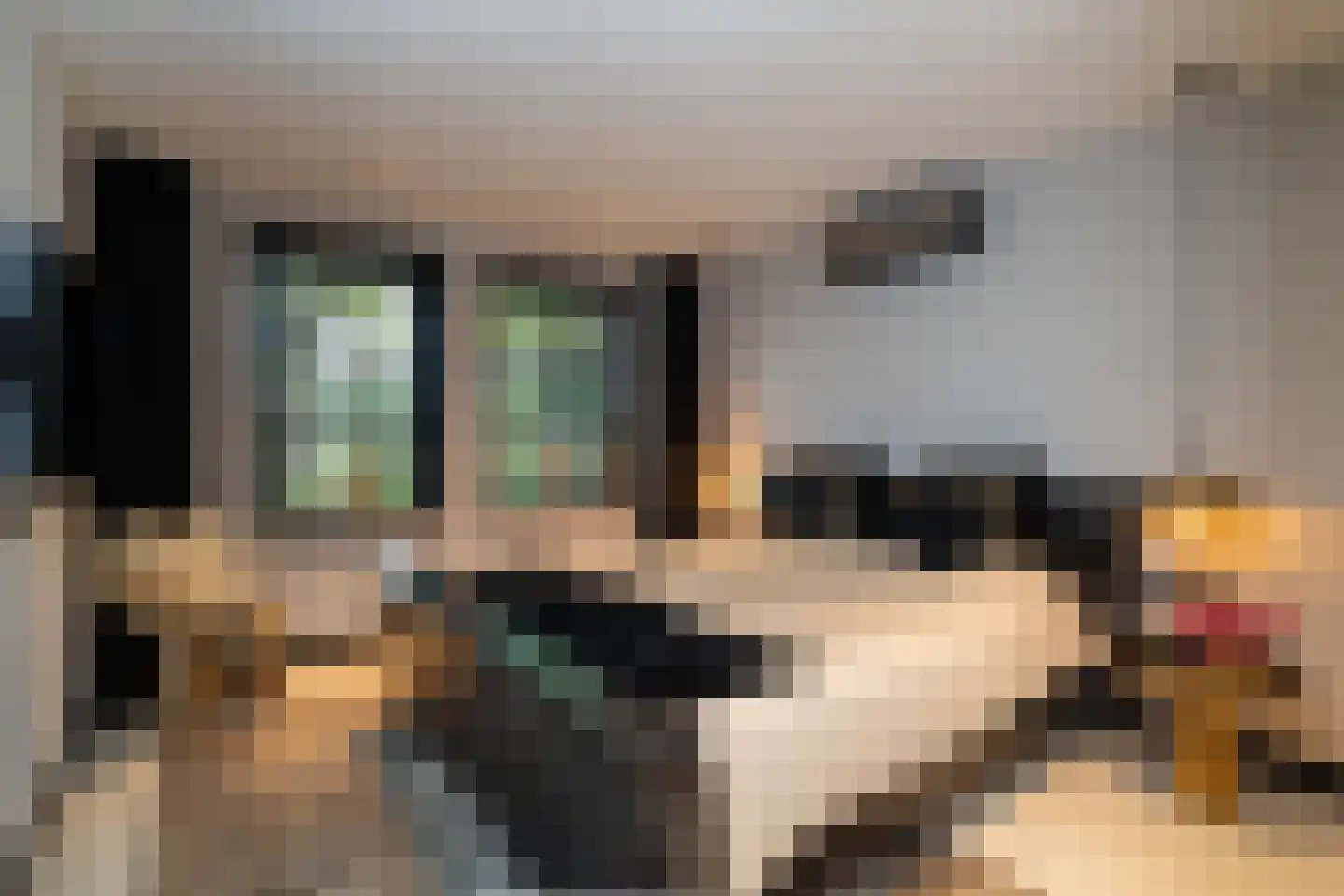 Rijksstraatweg 337 Ridderkerk thumbnail 23