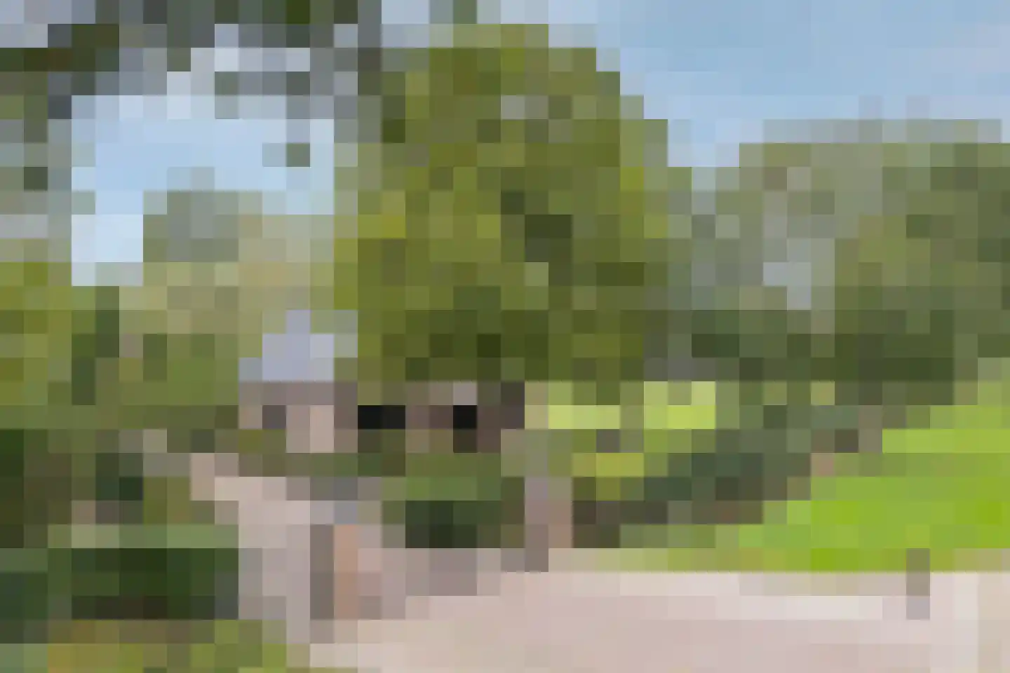 Rijksstraatweg 337 Ridderkerk thumbnail 54