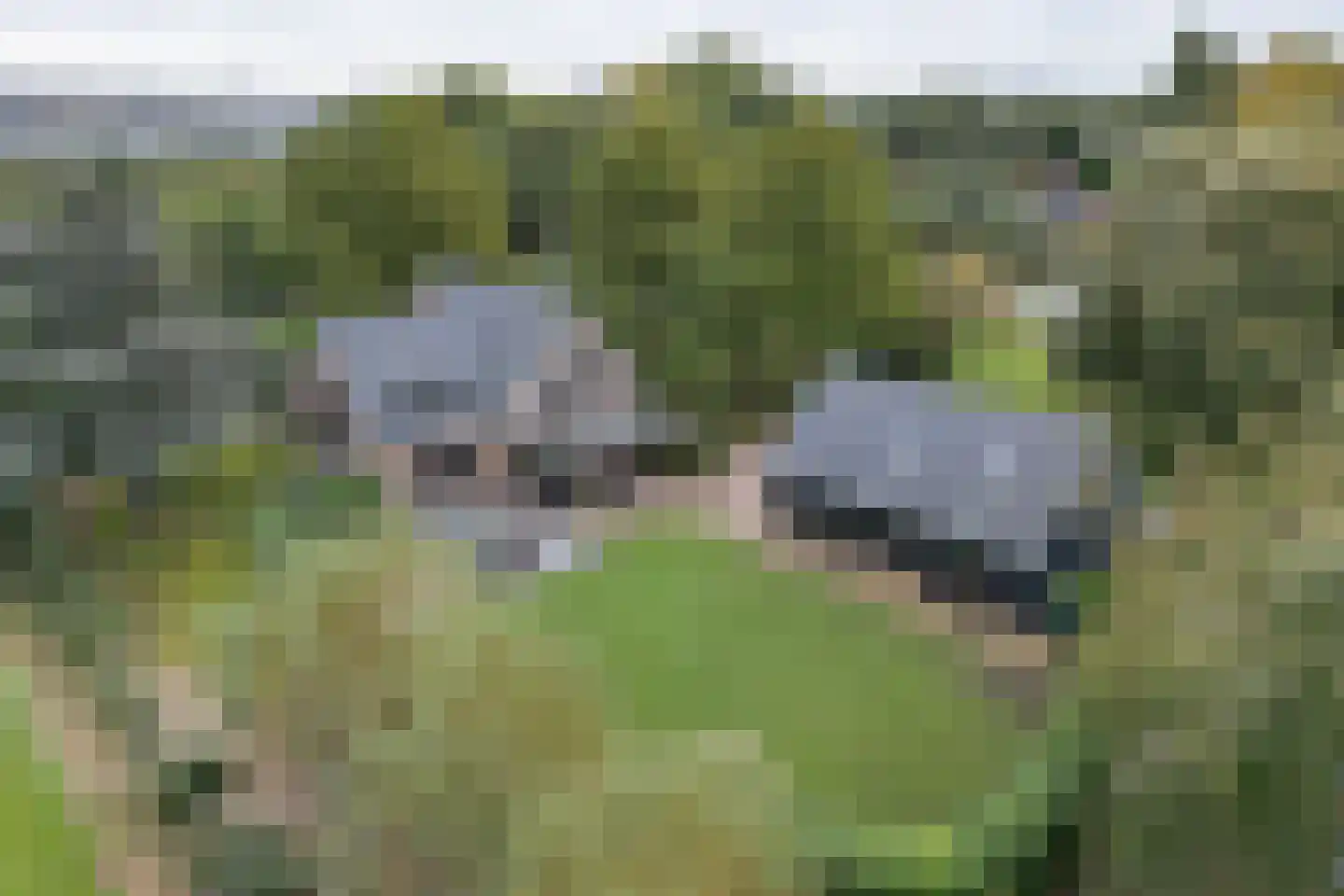 Rijksstraatweg 337 Ridderkerk thumbnail 55