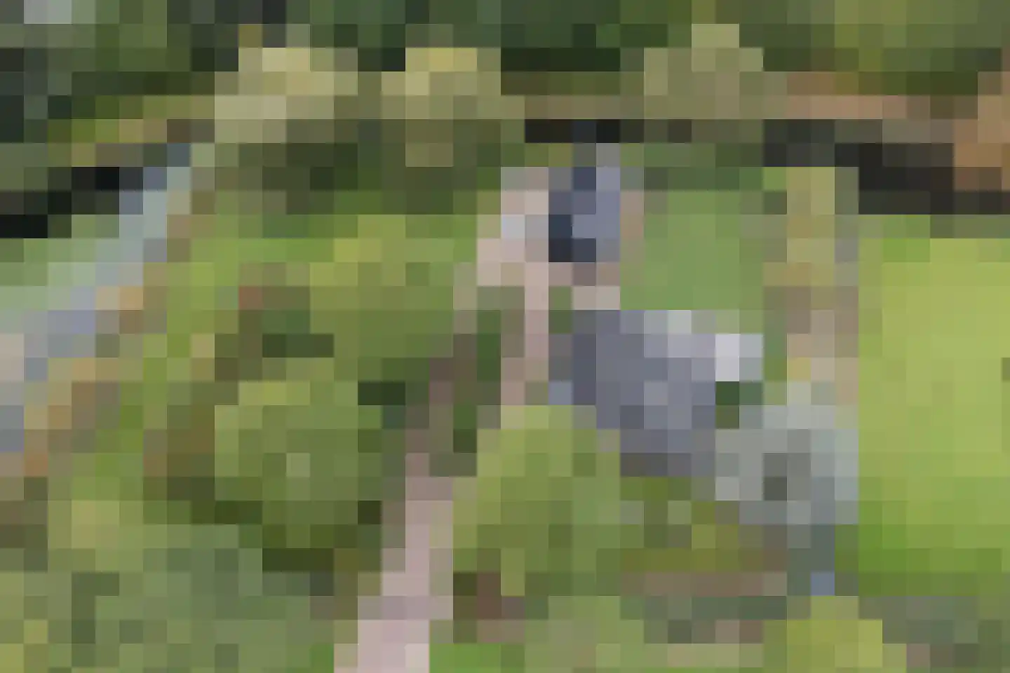 Rijksstraatweg 337 Ridderkerk thumbnail 56