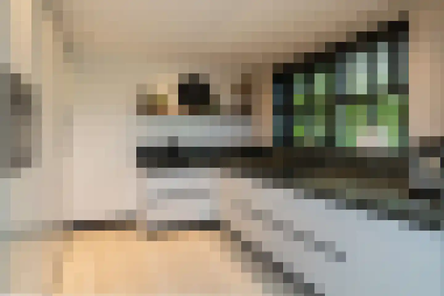 Rijksstraatweg 337 Ridderkerk thumbnail 8