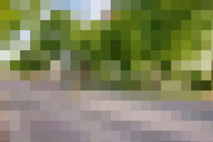 Rijksstraatweg 34 Leersum thumbnail 42