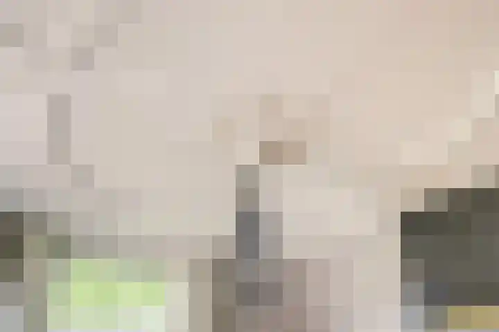 Rijksstraatweg 34 Leersum thumbnail 8