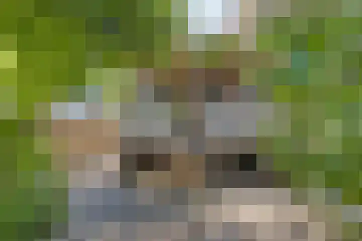 Rijksstraatweg 342 Ridderkerk thumbnail 30
