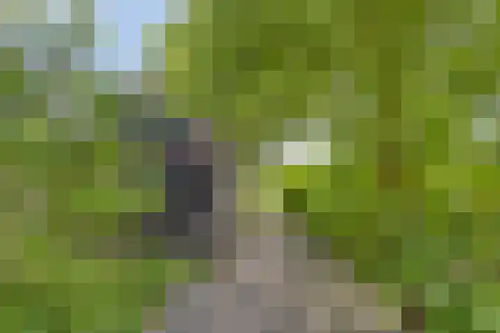 Rijksstraatweg 342 Ridderkerk thumbnail 32
