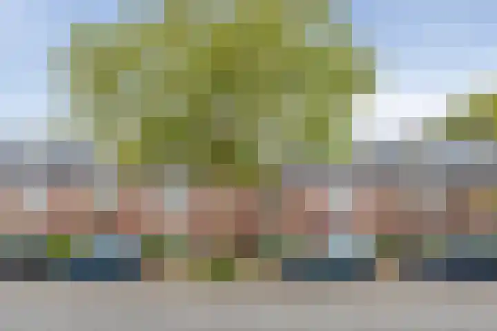 Rijksstraatweg 343 Haarlem thumbnail 53