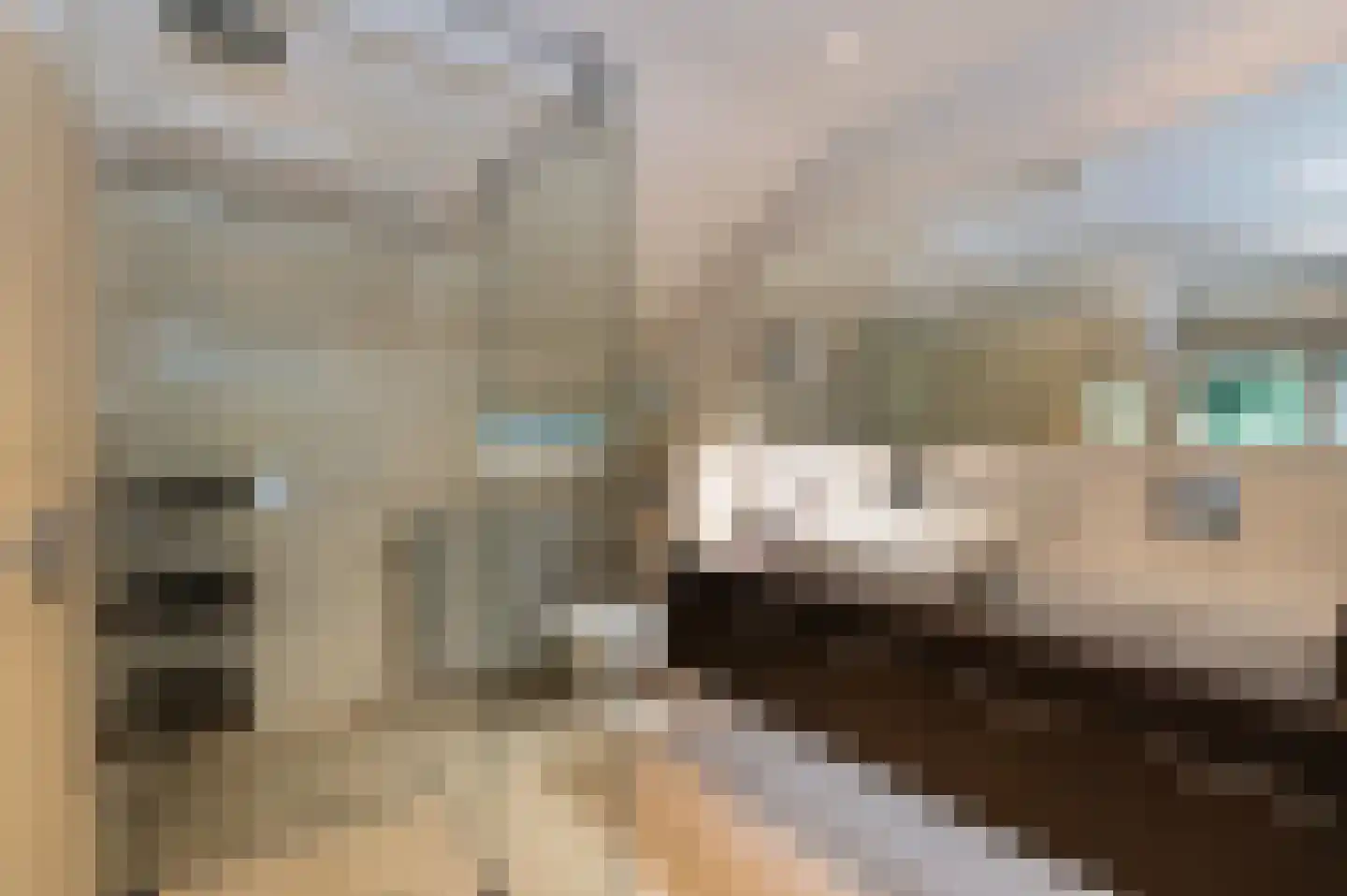 Rijksstraatweg 361 Beek thumbnail 32