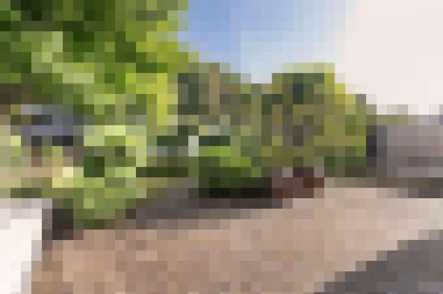 Rijksstraatweg 361 Beek thumbnail 49